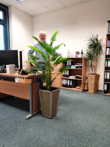 Kunstpflanzen lassen sich z.B.: im Büro aufstellen